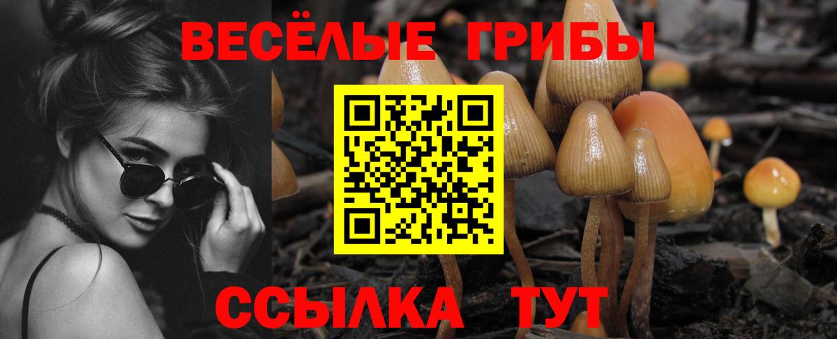 Галлюциногенные грибы Psilocybine cubensis  Галлюциногенные грибы GOLDEN TEACHER  Петрозаводск  Вход с VPN 