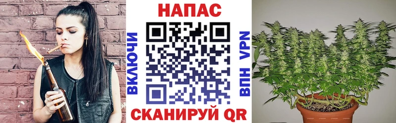 сколько стоит  Петрозаводск  Конопля индика 